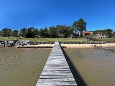 Beach Acreage For Sale in Coden, Alabama