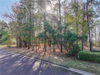 Beach Lot For Sale in Saint Marys, Georgia