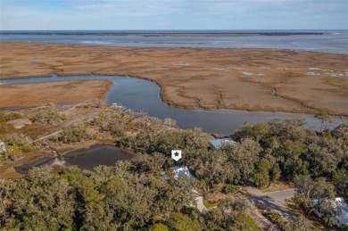 Beach Home For Sale in Saint Marys, Georgia