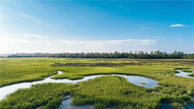 Beach Acreage For Sale in Brunswick, Georgia