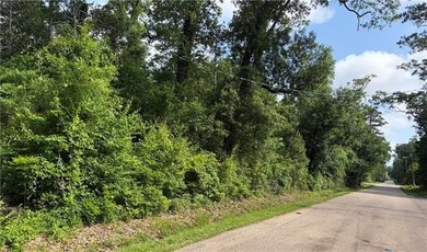 Beach Lot For Sale in Mandeville, Louisiana
