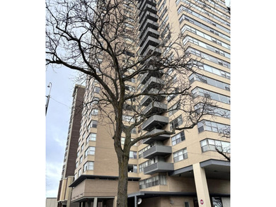 Beach Condo For Sale in Chicago, Illinois