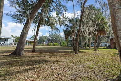Beach Lot For Sale in Homosassa, Florida