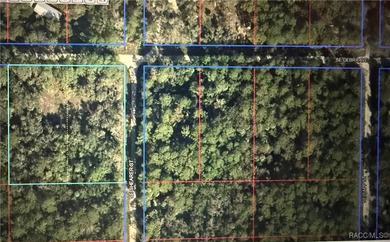 Beach Acreage For Sale in Inglis, Florida