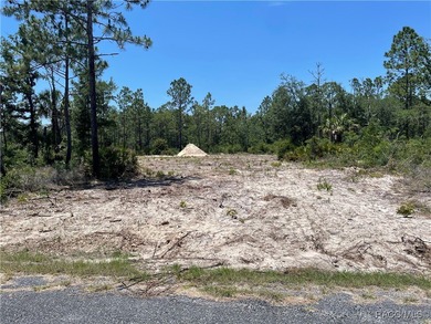 Beach Lot Sale Pending in Crystal River, Florida