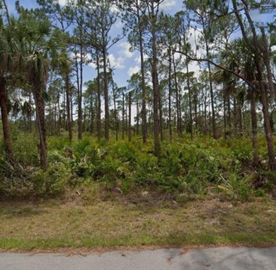 Beach Lot For Sale in Port Charlotte, Florida