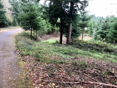Beach Lot For Sale in Coos Bay, Oregon