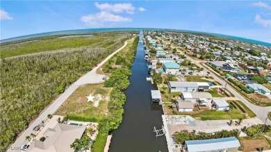 Beach Lot For Sale in St. James City, Florida