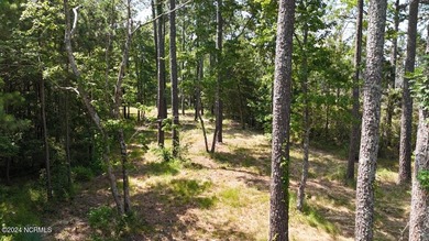 Beach Acreage For Sale in Beaufort, North Carolina