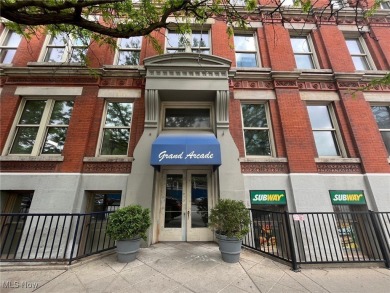 Beach Condo For Sale in Cleveland, Ohio