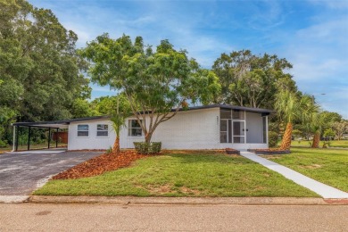 Beach Home Sale Pending in St. Petersburg, Florida