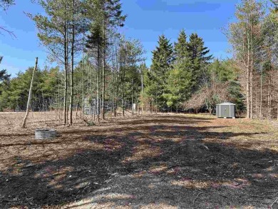 Beach Lot For Sale in Carp Lake, Michigan