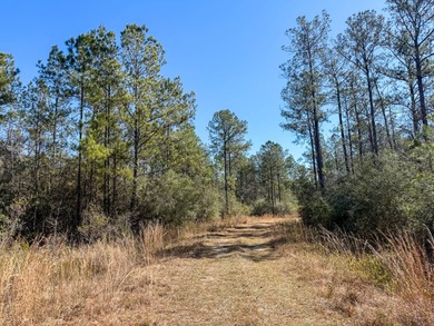 Beach Acreage For Sale in Pass Christian, Mississippi
