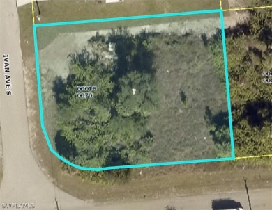 Beach Lot For Sale in Lehigh Acres, Florida