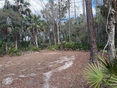 Beach Acreage For Sale in Yankeetown, Florida