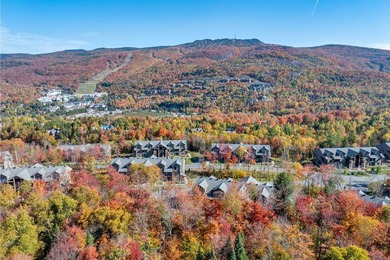Beach Condo For Sale in Mont-Tremblant, Quebec