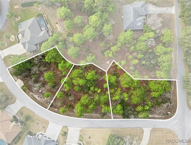 Beach Lot For Sale in Homosassa, Florida