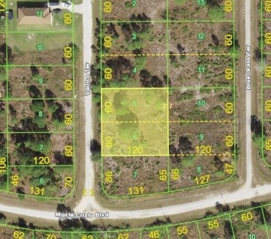 Beach Lot For Sale in Punta Gorda, Florida