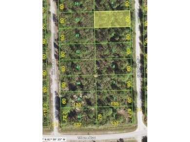 Beach Lot For Sale in Punta Gorda, Florida