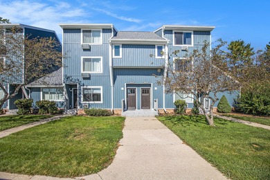 Beach Condo For Sale in Williamsburg, Michigan