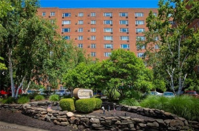 Beach Condo For Sale in Lakewood, Ohio