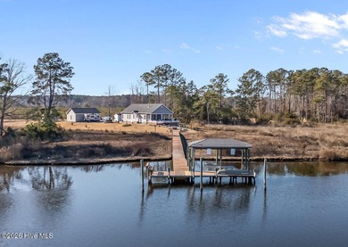 Beach Home For Sale in Arapahoe, North Carolina