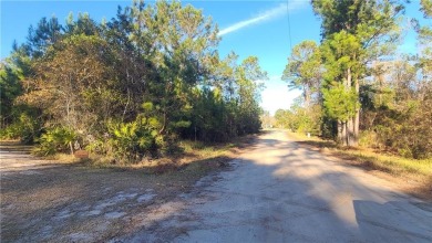 Beach Lot For Sale in Shellman Bluff, Georgia