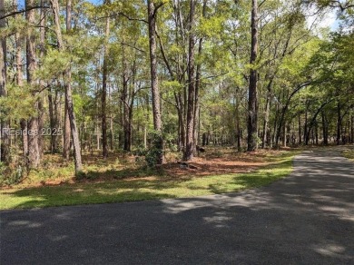 Beach Lot For Sale in Daufuskie Island, South Carolina