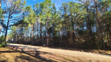 Beach Lot For Sale in Shellman Bluff, Georgia