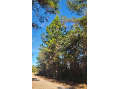 Beach Lot For Sale in Shellman Bluff, Georgia