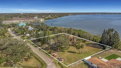 Beach Lot For Sale in Oldsmar, Florida