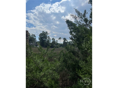 Beach Lot For Sale in Savannah, Georgia