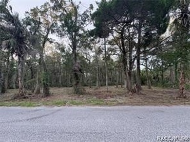 Beach Lot For Sale in Homosassa, Florida