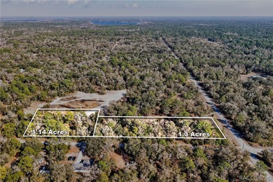 Beach Acreage For Sale in Crystal River, Florida