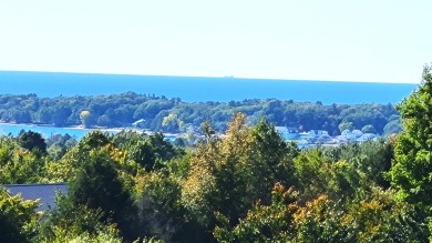 Beach Lot For Sale in Onekama, Michigan