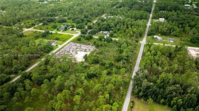 Beach Lot For Sale in Lehigh Acres, Florida