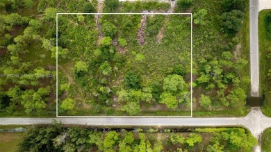 Beach Lot For Sale in Lehigh Acres, Florida