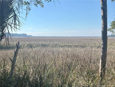 Beach Lot For Sale in Townsend, Georgia