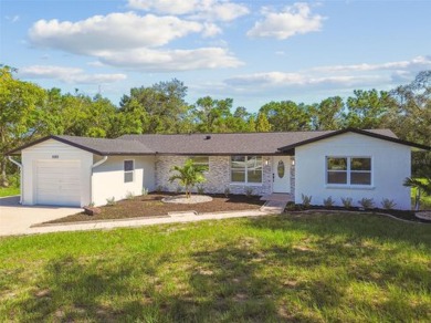 Beach Home For Sale in Spring Hill, Florida