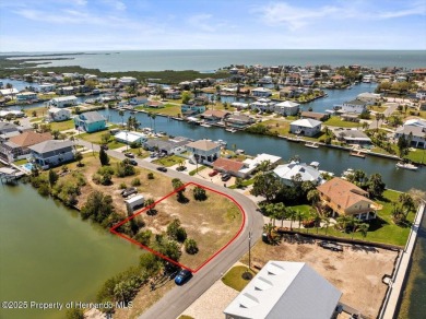Beach Lot For Sale in Hernando Beach, Florida