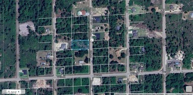 Beach Lot For Sale in Lehigh Acres, Florida