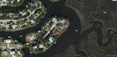 Beach Lot For Sale in Crystal River, Florida