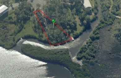 Beach Lot For Sale in Crystal River, Florida