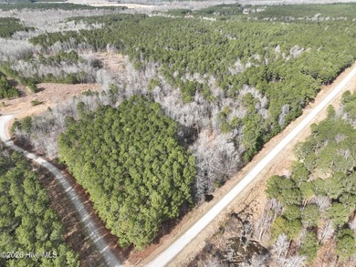 Beach Acreage For Sale in Edenton, North Carolina