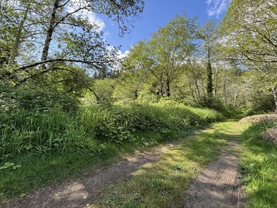 Beach Acreage For Sale in Lincoln City, Oregon