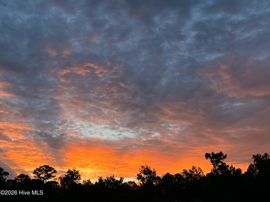 Beach Lot For Sale in Leland, North Carolina