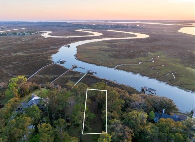 Beach Lot For Sale in Saint Simons, Georgia