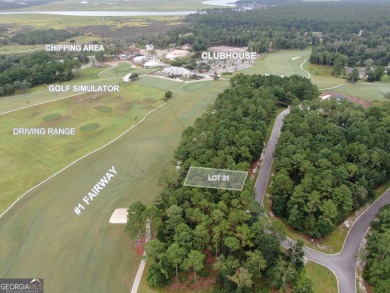 Beach Lot For Sale in Waverly, Georgia