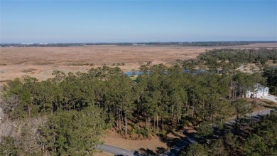 Beach Lot For Sale in Waverly, Georgia