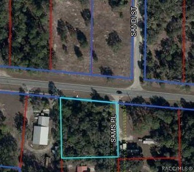 Beach Lot For Sale in Inglis, Florida